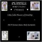 Malt�z��ek s pp