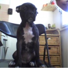 4m�s��n� �t�n�