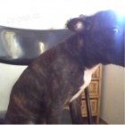 4m�s��n� �t�n�