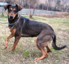  Fene�ka Lucinka �ek� na nov�ho p�ne�ka