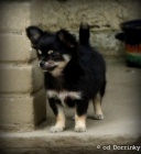 P�ekr�sn� �ivav� kluci s PP