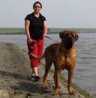 Tosa inu  �t��ata