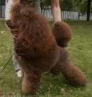 Pudl st�edn� �ern�