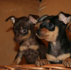 Prod�m �t���tka