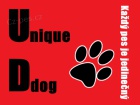 V�cvikov� �kola Uniqe dog - Ji�n� �echy