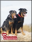 Beauceron - boseron - �t�n� na prodej