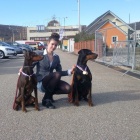 perspektivn� �t��ata dobrmana s PP