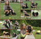 N�meck� ov��k - pejsek na prodej