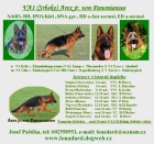 n�meck� ov��k-rex