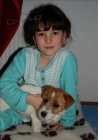 Jack Russell Teri�r - n�dhern� �t���tka