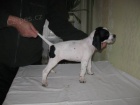Prod�m �t��ata pointer�