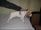 Prod�m �t��ata pointer�