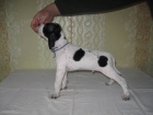 Prod�m �t��ata pointer�