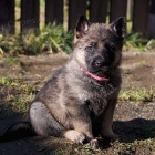 �t��ata NO s PP