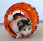 Hotel,salon,�kolka,obchod