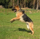 Zad�me �t��ata NO s PP