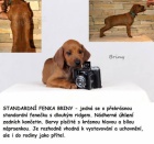 Rhod�sk� ridgeback - �t��ata s PP ihned k odb�ru