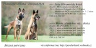 Belgick ovk Malinois s PP!!!