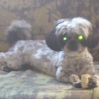 Shih-Tzu kryt� fene�ky