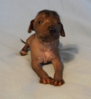 Peru�nsk� nah�� - zad�m �t���tka