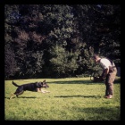 N�meck� ov��k