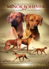 Rhod�sk� ridgeback - �t���tka s PP