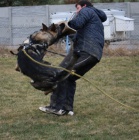 N�meck� ov��k �t��ata s PP v�b. pracovn� linie