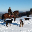 �t�n� �v�carsk�ho sala�nick�ho psa s PP