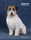 JRT Zandor Zaffiro Victory Garden nab�dka kryt�