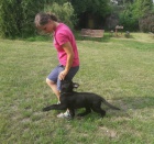 N�meck� ov��k �t��ata s PP