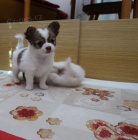 Prod�m �t��ata �ivavy