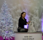 Malt�z��ek (Malt�zsk� ps�k)  s PP