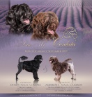 Portugalsk� vodn� pes �t���tka k rezervaci