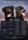 Rotvajler, RTW, rottweiler �t��ata - fenky