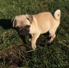 roztomil� a roztomil� �t���tka k adopci.