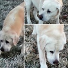 �t�n� na z���