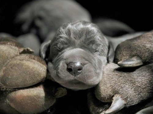 V�cvikov� t�den-�kola �t��at