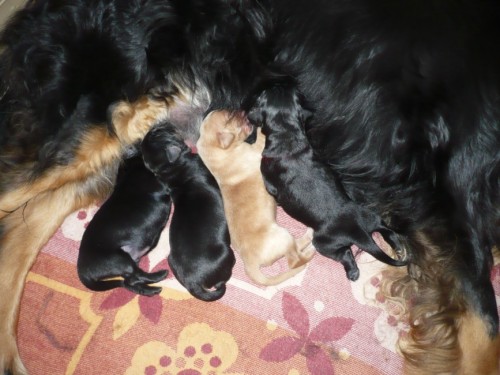 Prod�m �t���tka