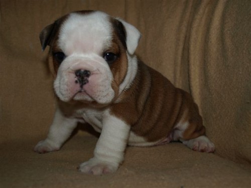 Zad�m �t��ata