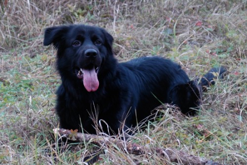 K��enec Novofund. psa