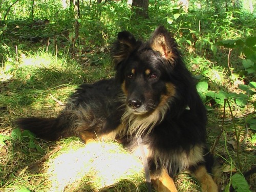 B�rt hled� milenku