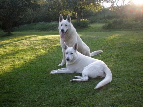 �t���tka B�O s PP