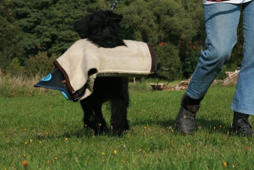 KN�RA� VELK� �ERN�