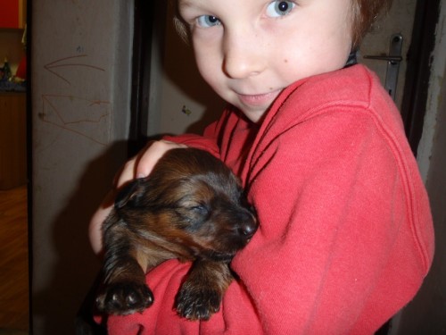 plav� a �ern� �t���tka