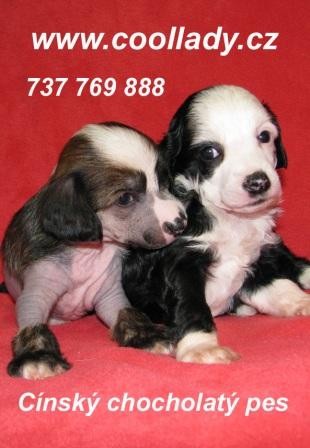 N�dhern� �t���tka ����nk� s PP