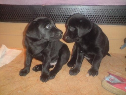 Posledn� �t���tko SLEVA