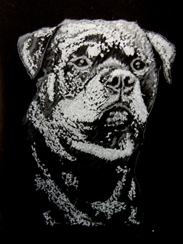 PRO V�S RADOST - PRO N�S POMOC