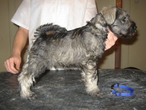 KN�RA� MAL� PEP� A S�L