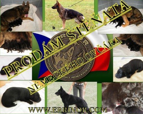 N�MECK� OV��K-PROD�M �T�NATA