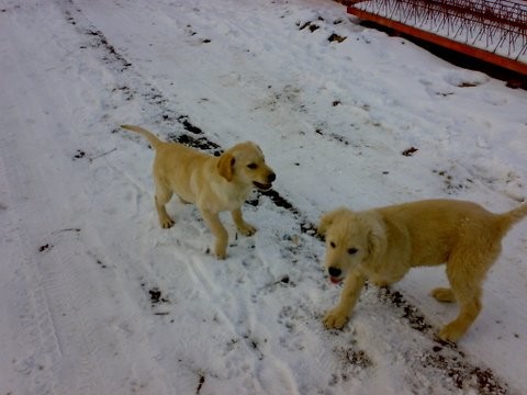 prod�m �t�n�tko